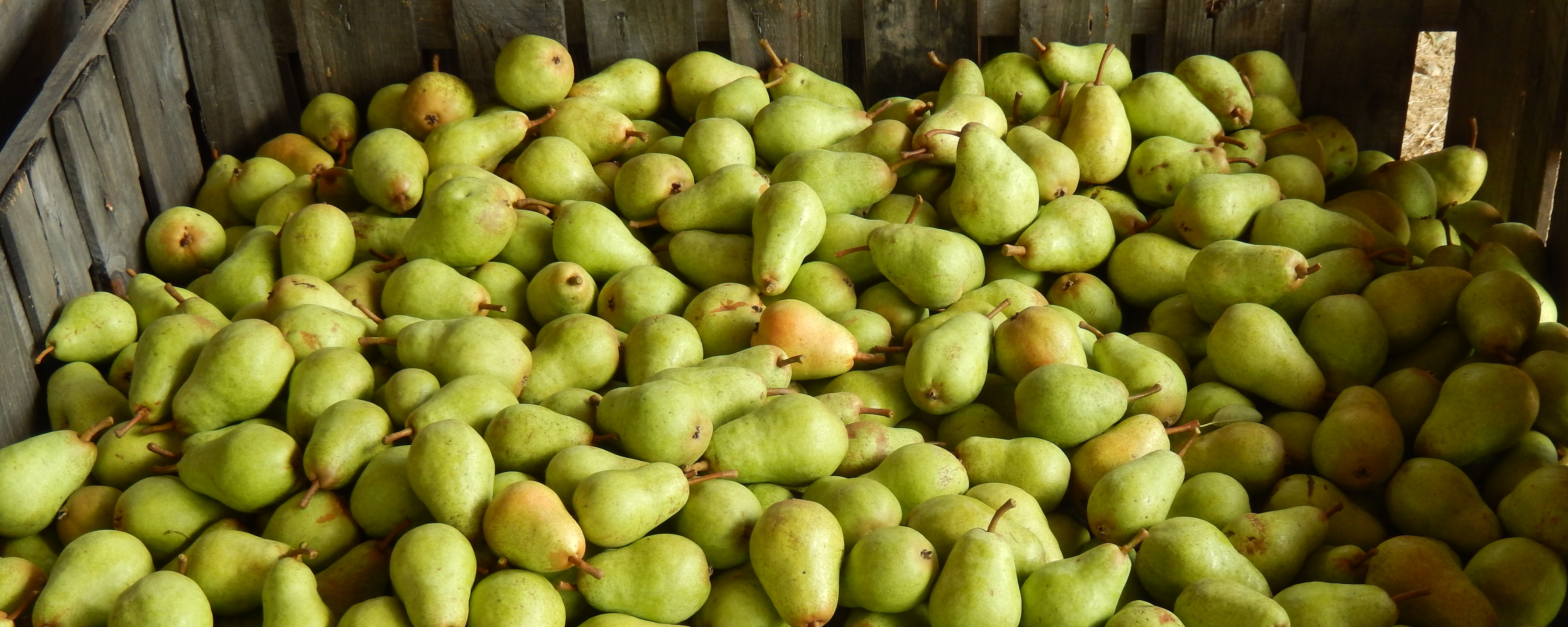 poire Williams en pallox maison colombier