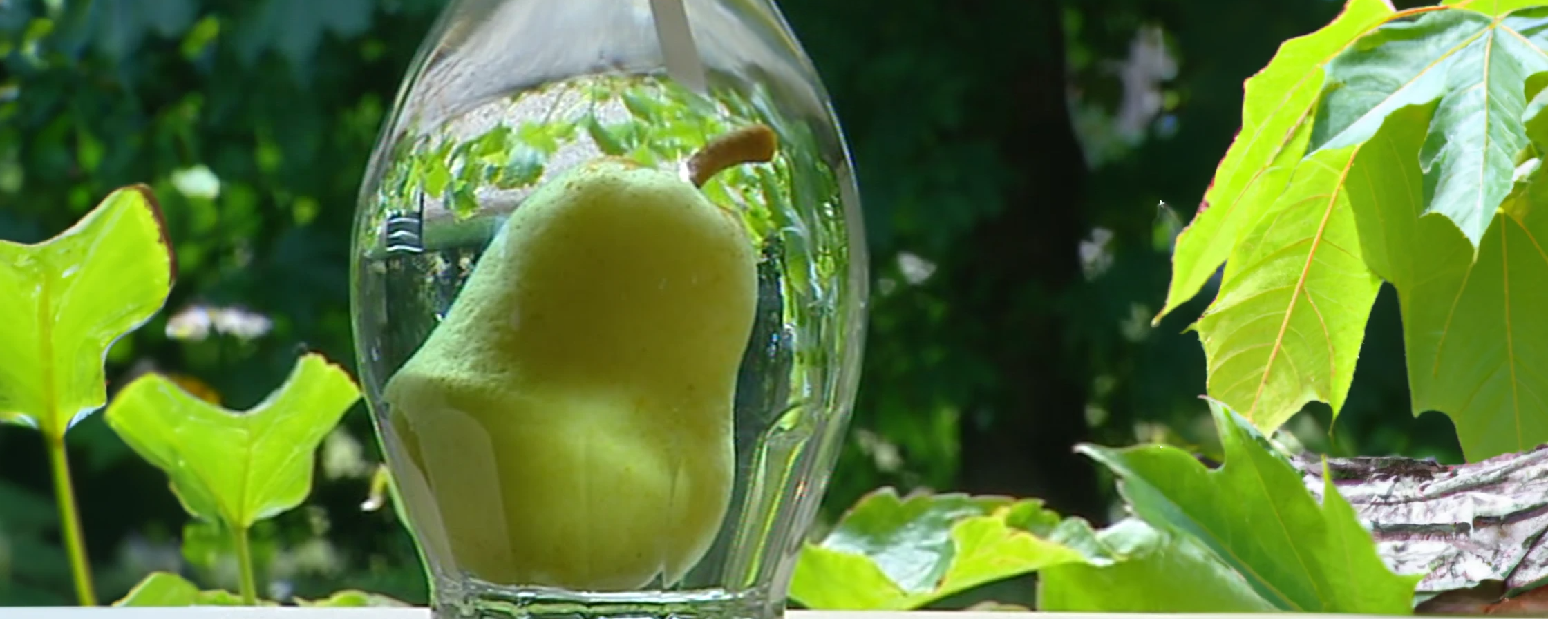 poire prisionniere maison colombier eau de vie